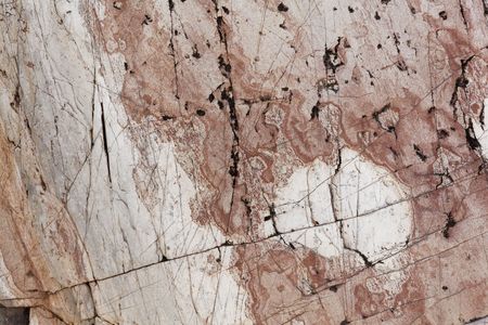 The surface of fine grained Precambrian schist with white and red colors.