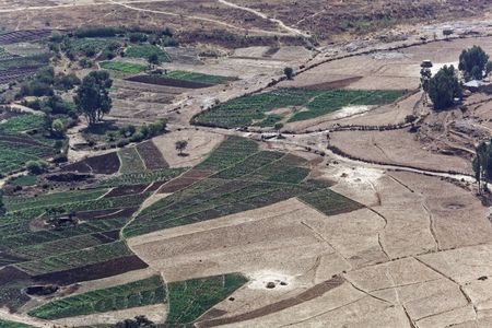 Vegetable fields, surrounded by dry fields in Ethiopia.