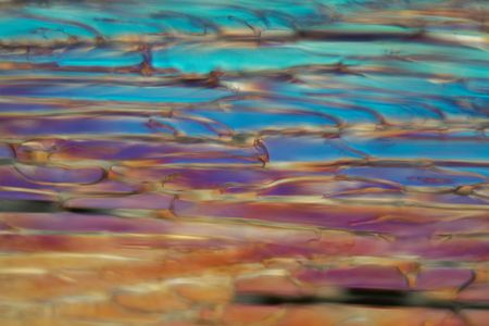 Frozen beer under a microscope and in polarized light. The photo shows ice crystals developed in...