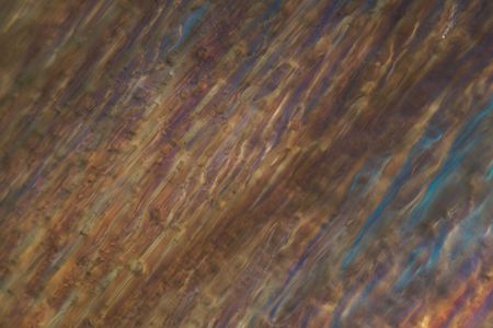 Frozen beer under a microscope and in polarized light. The photo shows ice crystals developed in...