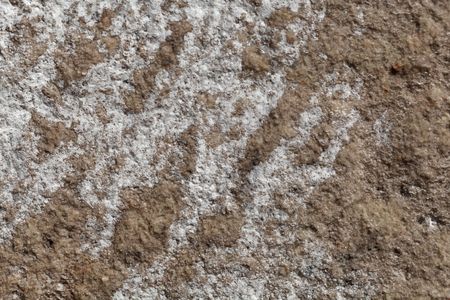 Salt crystals on the surface of a sandstone in a building wall.
