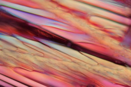 Red wine under a microscope, Shiraz. The photo shows crystals of frozen wine in polarized light.の写真素材
