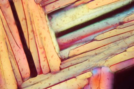 Red wine under a microscope, Shiraz. The photo shows crystals of frozen wine in polarized light.の写真素材