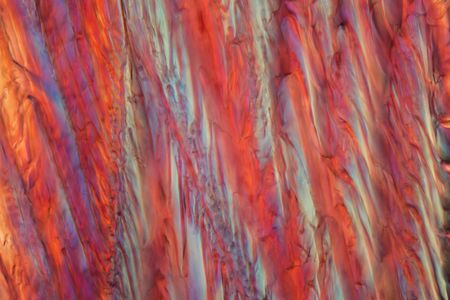 Red wine under a microscope, Pinot Noir Precoce. The photo shows crystals of frozen wine in polarized light.の写真素材