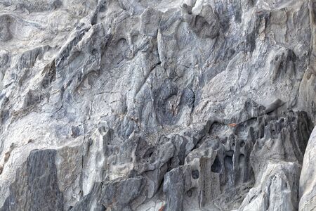 The surface of a weathered gray metamorphic rock.