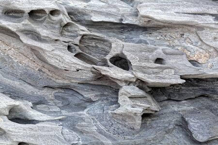 The surface of a weathered gray metamorphic rock.