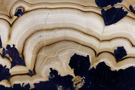 A macro photo of a bowl aperture, a blend of Sphalerite and Wurzite, Zinc and Iron Minerals, from...