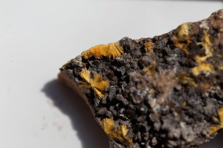 Crystal needles of Uranophane, a uranium bearing mineral and ore, from the Erongo region, Namibia.の写真素材