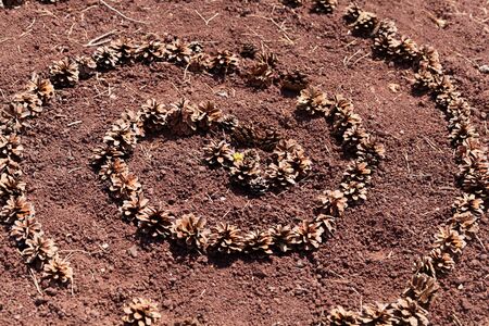 A spiral made of pine cones on red soil.の写真素材