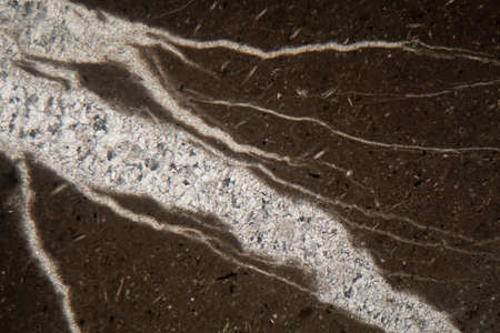 Calcite vein in a mudstone under a microscope and in polarized light.