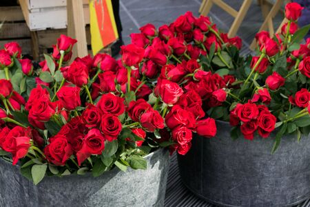 Photo of roses in a bucketの写真素材