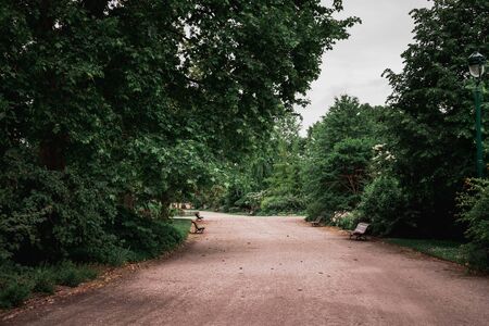Dirt road without people in a public park in Bordeaux. Several banks and vegetation are observed.の写真素材