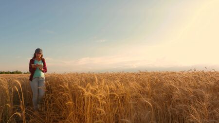 businesswoman with a tablet studies wheat crop in field. Farmer woman works with a tablet in a wheat...