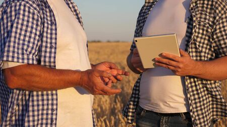 farmer and businessman with tablet working as a team in field. agronomist and farmer are holding a grain of wheat in their hands. Harvesting cereals. A business man checks the quality of grain.の写真素材