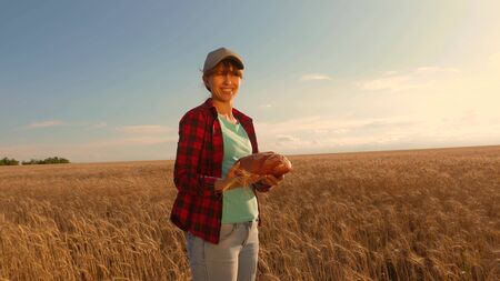 Farmer girl works with a tablet in a wheat field, plans a grain crop. Woman agronomist with a tablet studies the wheat crop in field. entrepreneur in field of planning his income. agriculture conceptの写真素材