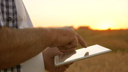 hands of a farmer with a tablet. close-up. businessman with a tablet evaluates a grain harvest. Farmer with a tablet works in a wheat field. Harvesting cereals. business man checks quality of grain.の写真素材