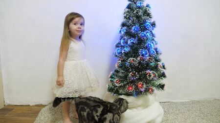 little girl hugs and plays with a cat in a room by the Christmas tree. child and christmas tree with beautiful garlands. christmas holidays conceptの写真素材