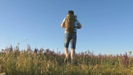 Young male traveler goes uphill in a field with beautiful flowers. Travel and adventure concept. a tourist travels in nature, with a backpack climbs a hill. healthy lifestyle conceptの写真素材