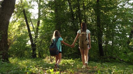 tired girls travelers with backpacks go through thicket in the forest. Hiker woman walks in the forest. happy hiker girl in summer park. teenager girl adventures on vacation.の写真素材