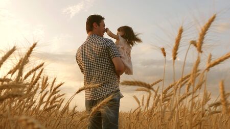 little daughter on fathers shoulders. happy child and father are playing in field of ripening wheat. baby boy and dad travel on field. kid and parent play in nature. happy family and childhood conceptの写真素材