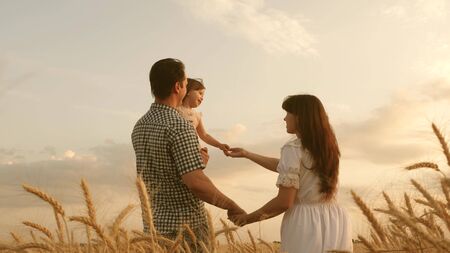 baby travels across field with her family. child and parent are playing. happy family and childhood concept. Happy baby in arms of father and mother. little daughter, dad and mom play in a wheat field.の写真素材
