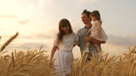 baby in the arms of father and mother. Happy family holding hands on walks. little daughter, dad and mom play in a wheat field. baby travels across field with her family. child and parent are playing.の写真素材