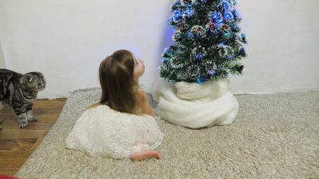 A little girl and a cat are playing in a room by the Christmas tree. happy childhood concept. child and christmas tree with beautiful garlands. christmas holidays conceptの写真素材