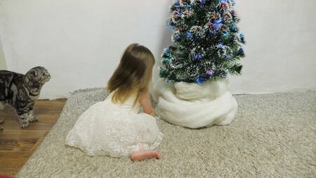 A little girl and a cat are playing in a room by the Christmas tree. happy childhood concept. child and christmas tree with beautiful garlands. christmas holidays conceptの写真素材