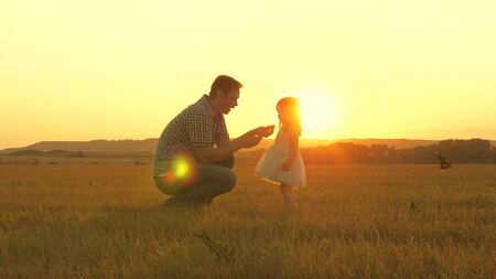child picks flowers in meadow with his father. Little daughter walks with dad in meadow holding hands. child holds father s hand. family walks in evening out of town. Dad and baby are resting in park.の写真素材