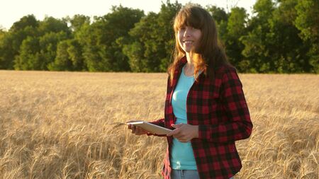 business woman plans her income in a wheat field. Farmer girl works with a tablet in a wheat field,...