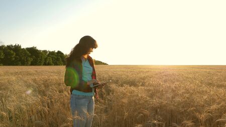 Women agronomist with a tablet studies the wheat crop in field. business woman plans her income in a...