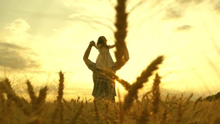 The child and parent play in nature. happy family and childhood concept. Slow motion. little daughter on fathers shoulders. baby boy and dad travel on a wheat field.の写真素材