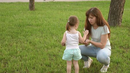 little daughter and mother play in park on lawn and collect cones. child walks on green grass. Mother shows her child pinecones. concept of a happy childhood. happy family is walking with a child.の写真素材