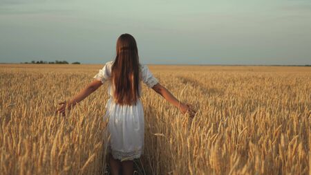 happy young girl runs in slow motion across field, touching ears of wheat with her hand. Beautiful free woman enjoying nature in warm sunshine in a wheat field on sunset background. girl travels.の写真素材