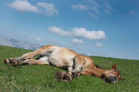 I taken this picture near the San Lorenzo pass in Asturias, Spain.の写真素材