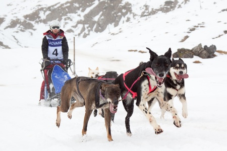 Candanchu, Spain - January 22, 2012 : Marie-Sophie Le Biez drives his dogs in the competition of the Pirena Advance grand prix 2012 at Candanchu sky station. January 22, 2012 in Huesca, Spain.のeditorial素材