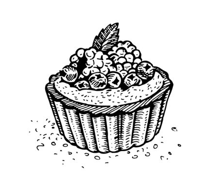 Cream, blueberry, raspberry and mint cake. Vintage graphics for menus, labels, packaging design, restaurants and catering. Hand-drawn imagesのイラスト素材