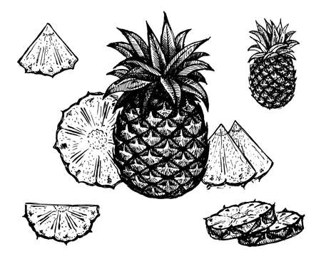 Pineapple, vector illustration. Vintage graphics and handwork. Drawing with an ink pen and pencil. The pineapple, half pineapple, slices and rings. A collection of fruits and berries.のイラスト素材