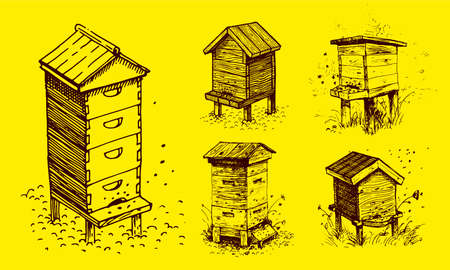 Bee hive, drawing. A collection of farm products. Black and white vector drawing. Retro drawing, vintage graphics.のイラスト素材