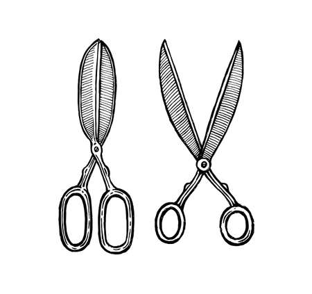 Scissors, vector illustration. Vintage graphics and handwork. Tools collection.のイラスト素材