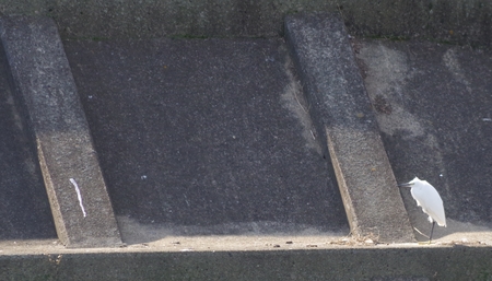 River shore of Heronの写真素材