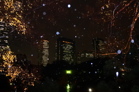 Skyline at night in the rainの写真素材