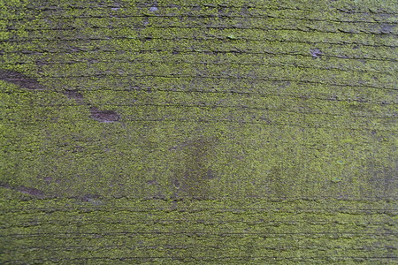 Wood materialの写真素材