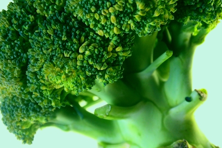 Broccoliの写真素材
