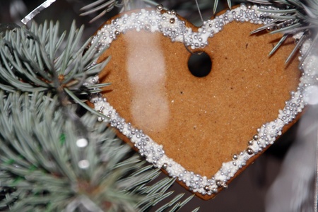 Christmas Gingerbreadの写真素材