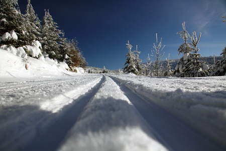 cross-country ski trail