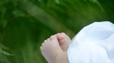 Newborn baby feet in nature on green grassの写真素材