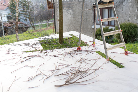 Cutting branches at home