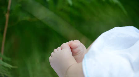 Newborn baby feet in nature on green grassの写真素材