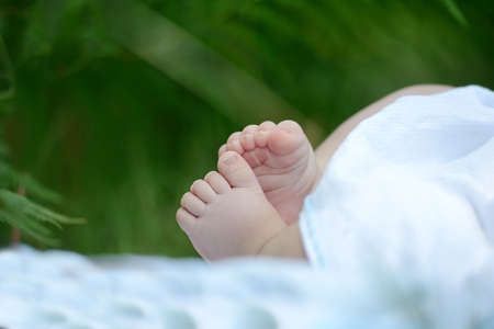 Newborn baby feet in nature on green grassの写真素材